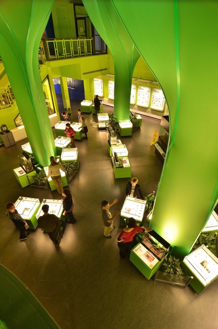 Press kit | 562-39 - Press release | Space for Life Architecture CompetitionThree Major Projects for Montréal's 375th Anniversary in 2017 - Bureau du design - Ville de Montréal - Competition - Insectarium de Montréal - Photo credit: Espace pour la vie - É̂tienne Boucher Cazabon