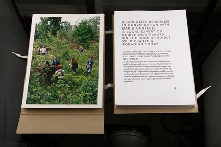 Press kit | 1171-04 - Press release | BIO 50 Coming to Milan Design Week 2015 - Museum of Architecture and Design (MAO), Ljubljana - Event + Exhibition -  Knowing Food - Survival Cook Book by Nuša Jelenec and Gaja Mežnarić Osole<br>  - Photo credit: Gaja Mežnarić Osole