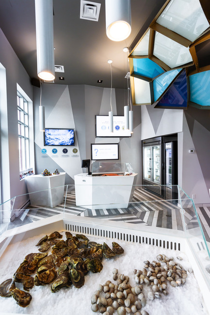 Dossier de presse | 760-10 - Communiqué de presse | Promenade au fond de la mer réinventée - Jean de Lessard, Designers Créatifs - Design d’intérieur commercial - Détails de vitrine - Crédit photo : Imagicom, Francois Laliberté