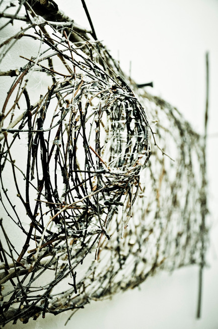 Press kit | 1116-01 - Press release | From branch to branch - Danielle Carignan - Art - Photo credit: Danielle Carignan/Annie Lachapelle
