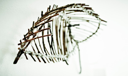 Press kit | 1116-01 - Press release | From branch to branch - Danielle Carignan - Art - Photo credit: Danielle Carignan/Annie Lachapelle