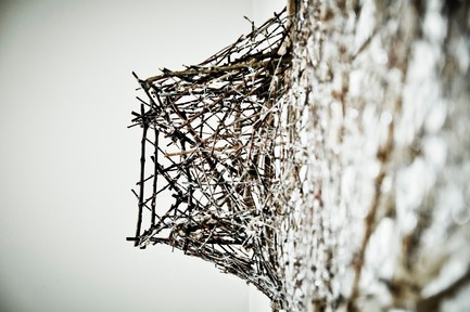 Press kit | 1116-01 - Press release | From branch to branch - Danielle Carignan - Art - Photo credit: Danielle Carignan/Annie Lachapelle