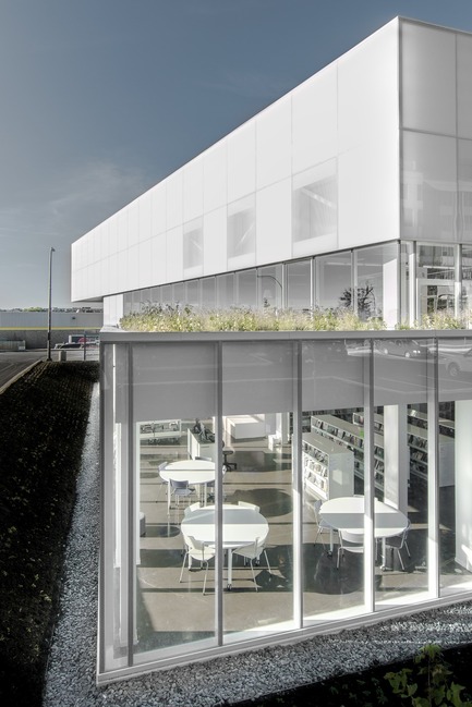 Dossier de presse | 721-06 - Communiqué de presse | La bibliothèque Saul-Bellow - Chevalier Morales - Architecture institutionnelle - Bibliothèque Saul-Bellow,&nbsp;Montréal, Canada - Crédit photo :  Chevalier Morales Architectes 