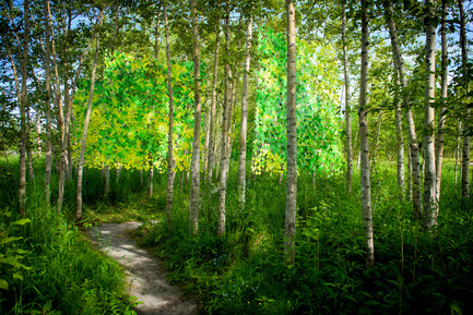 Press kit | 837-14 - Press release | Call for proposals - International Garden Festival 2016 - International Garden Festival / Reford Gardens - Event + Exhibition -  POPPLE<br>Meaghan Hunter &amp; Suzy Melo<br><br>Winnipeg (Manitoba) Canada<br><br>Sponsor:&nbsp;Manitoba Association of Landscape Architects   - Photo credit: Martin Bond