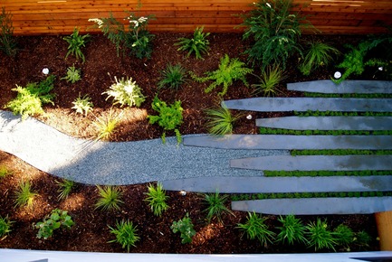 Dossier de presse | 1733-02 - Communiqué de presse | Noe Residence - Studio VARA - Architecture résidentielle -   The rear yard "looking garden" is most often viewed from above. - Crédit photo :  Brad Goya, SF Greenscapes 