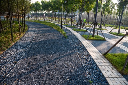 Press kit | 661-31 - Press release | The Interlace in Singapore: World Building of the Year 2015 - World Architecture Festival (WAF) - Competition - Yanweizhou Park, China, by Turenscape International, winner of the&nbsp;Landscape of the Year 2015&nbsp; - Photo credit: Turenscape International