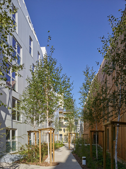 Dossier de presse | 898-07 - Communiqué de presse | Rive Seine _ Macro Lot A5 - Tetrarc - Architecture résidentielle - Venelle de bouleaux<br> - Crédit photo :  Stéphane Chalmeau  