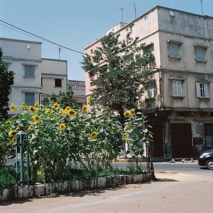 Dossier de presse | 756-06 - Communiqué de presse | Le CCA présente comment les architectes, les experts, les politiciens, les agences internationales et les citoyens négocient l’urbanisme moderne : Casablanca Chandigarh - Centre Canadien d’Architecture (CCA) - Évènement + Exposition - Commande du Centre Canadien d’Architecture, Montréal. Commissioned by the Canadian Centre for Architecture, Montréal. - Crédit photo : Yto Barrada