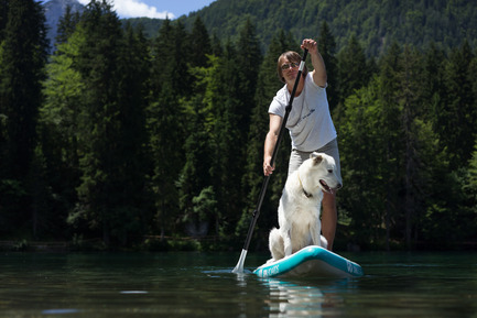 Dossier de presse | 1857-01 - Communiqué de presse | SipaBoards Bring Fresh Air To Paddleboarding - SipaBoards - Produit - Dogs love it too&nbsp; - Crédit photo : Uros Podlogar