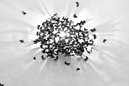 Press kit | 1604-04 - Press release | Design Days Dubai Announces 2016 Edition - Design Days Dubai - Event + Exhibition - Victor Hunt, 'LimitedMoths' by Mischer'Traxler - Photo credit: Victor Hunt