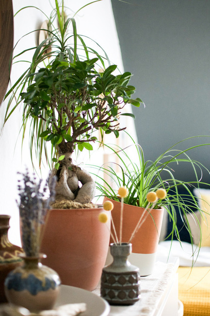 Dossier de presse | 2019-01 - Communiqué de presse | Voltasol, the rolling flowerpot - Studio BAG Disseny - Produit -  Voltasol at home<br>  - Crédit photo : Igor Josif<br>