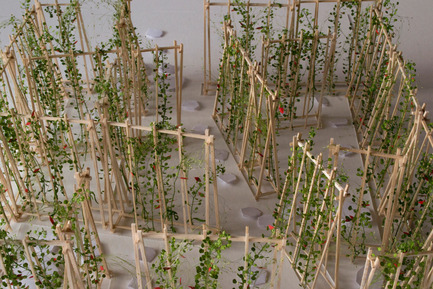 Press kit | 837-15 - Press release | The International Garden Festival announces the designers for its 17th edition - International Garden Festival / Reford Gardens - Landscape Architecture -  LA MAISON DE JACQUES by Romy Brosseau, Rosemarie Faille-Faubert, Émilie Gagné-Loranger, intern architects<br>Québec (Québec) Canada  - Photo credit:  Romy Brosseau 