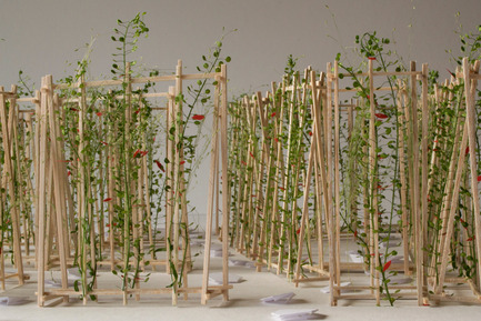 Press kit | 837-15 - Press release | The International Garden Festival announces the designers for its 17th edition - International Garden Festival / Reford Gardens - Landscape Architecture - LA MAISON DE JACQUES by Romy Brosseau, Rosemarie Faille-Faubert, Émilie Gagné-Loranger, intern architects<br>Québec (Québec) Canada  - Photo credit: Romy Brosseau 