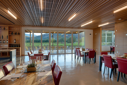 Press kit | 2039-01 - Press release | Titus Vineyards - MH Architects - Industrial Architecture -     The suspending ceiling of the Hospitality Room is comprised of long horizontal slats of varied widths and depths with a view of the surrounding vineyards through bi-fold Nana Walls. &nbsp;Glass blade LED light fixtures hang between the slats in a staggered composition. &nbsp;The slatted ceiling mitigates acoustical resonance and allows for flexible ventilation.  - Photo credit:  Technical Imagery Studios   