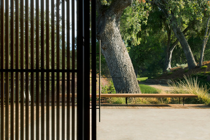 Dossier de presse | 2112-01 - Communiqué de presse | Brecon Estate Winery - Aidlin Darling Design - Architecture commerciale - View from tasting room to entry footpath - Crédit photo : Adam Rouse