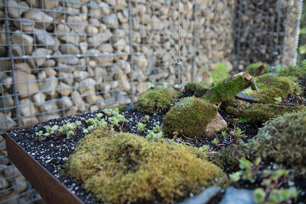 Press kit | 837-16 - Press release | Opening of the 17th International Garden Festival - International Garden Festival / Reford Gardens - Landscape Architecture -  LE CAVEAU by Christian Poules,&nbsp;Basel, Switzerlan   - Photo credit: Martin Bond