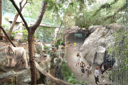 Press kit | 1057-06 - Press release | Montreal Biodome Science Museum Renewal - KANVA in collaboration with NEUF architect(e)s - Institutional Architecture - Laurentian Maple Forest Ecosystem - Photo credit: KANVA