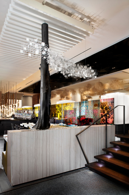 Dossier de presse | 1048-11 - Communiqué de presse | +tongtong Renovates the Famed Restaurant, Nota Bene in Downtown Toronto - +tongtong - Design d’intérieur commercial - Crédit photo :  Lisa Petrole 