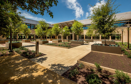 Dossier de presse | 2229-01 - Communiqué de presse | Hanover Page Mill Demonstrates Strong Partnership Between Form and Sustainability - Form4 Architecture - Architecture commerciale - Courtyard - Crédit photo : Craig Cozart Photography&nbsp;