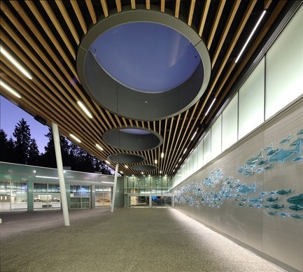 Press kit | 1615-03 - Press release | Call for Entries: The IESBC Vision Awards open January 1, 2017 - IESBC - Lighting Design -    Vancouver Aquarium by AES Engineering Ltd. (Sunny Ghataurah, Doug McMillian, Andy Su and Eke Roosioks)  - Photo credit: Ema Peter<br>