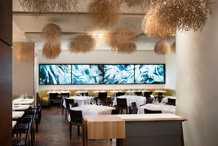 Dossier de presse | 1048-11 - Communiqué de presse | +tongtong Renovates the Famed Restaurant, Nota Bene in Downtown Toronto - +tongtong - Design d’intérieur commercial - Crédit photo : Lisa Petrole