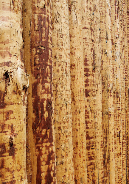 Dossier de presse | 2341-01 - Communiqué de presse | Torsby Finnskogscentrum - Bornstein Lyckefors arkitekter - Architecture commerciale - The timber is decorticated, untreated, cleaved in half, and mounted on a rack surrounding the building.&nbsp; - Crédit photo : Åke E:son Lindman