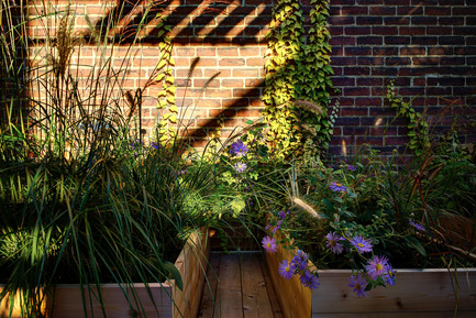 Dossier de presse | 1054-04 - Communiqué de presse | Terrasse VF: variations spatiales sur quatre paliers - Martine Brisson designer d'intérieur - Architecture résidentielle - Crédit photo : Pierre Béland