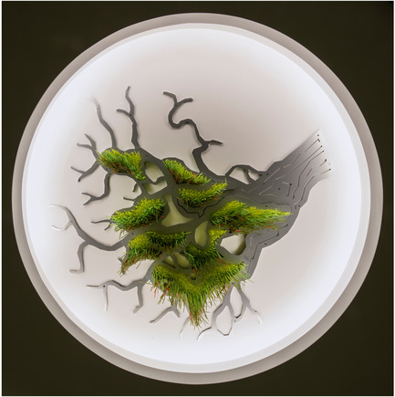 Dossier de presse | 2050-01 - Communiqué de presse | Sous le grand arbre : racine, feuille et fleur - Elisabeth Picard - Art -  Elisabeth Picard<br><br> Sous le grand arbre : racine<br> (niveau 0)<br> Attaches à tête d’équerre teintes (Ty-Rap), aluminium peint, projecteurs à DEL<br>48 x 48 x 10&nbsp;pouces<br>  - Crédit photo : Michel Dubreuil 
