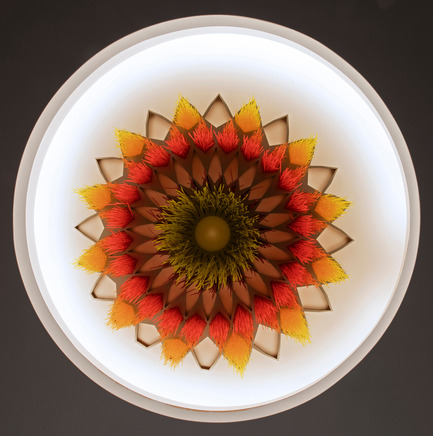 Dossier de presse | 2050-01 - Communiqué de presse | Sous le grand arbre : racine, feuille et fleur - Elisabeth Picard - Art -  Elisabeth Picard<br><br> Sous le grand arbre :&nbsp;fleur<br> (niveau 3)<br> Attaches à tête d’équerre teintes (Ty-Rap), aluminium peint, projecteurs à DEL<br>48 x 48 x 10&nbsp;pouces  - Crédit photo : Michel Dubreuil 