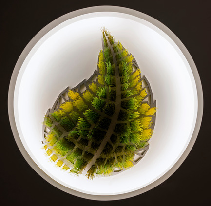Dossier de presse | 2050-01 - Communiqué de presse | Sous le grand arbre : racine, feuille et fleur - Elisabeth Picard - Art -  Elisabeth Picard<br><br> Sous le grand arbre :&nbsp;feuille<br> (niveau 2)<br> Attaches à tête d’équerre teintes (Ty-Rap), aluminium peint, projecteurs à DEL<br>48 x&nbsp;39 x 10&nbsp;pouces  - Crédit photo :  Michel Dubreuil  