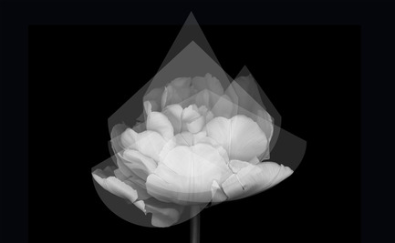 Press kit | 2489-01 - Press release | inMOOV - Studio Nina Lieven - Lighting Design - Study for inMOOV - Photo credit: Nina Lieven &nbsp;2016