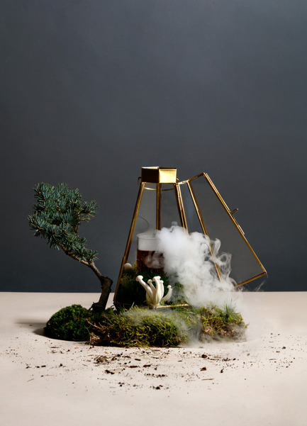 Dossier de presse | 2065-02 - Communiqué de presse | Botanist Restaurant to Open its Doors on April 24 in Vancouver, BC - Fairmont Pacific Rim - Art de vivre - Candy Cap Magic Cocktail - Crédit photo : Ian Lanterman
