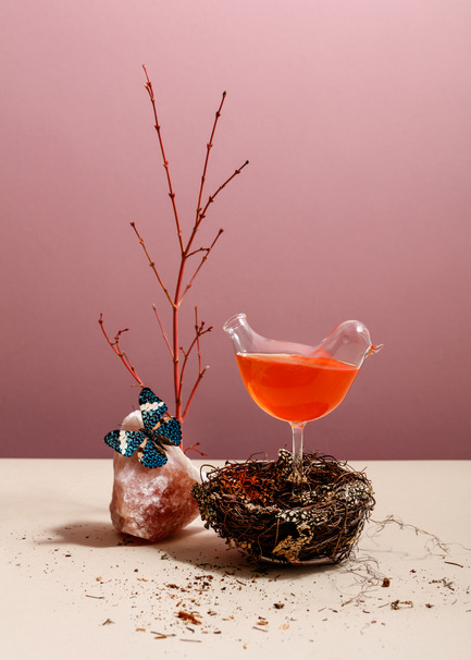 Dossier de presse | 2065-02 - Communiqué de presse | Botanist Restaurant to Open its Doors on April 24 in Vancouver, BC - Fairmont Pacific Rim - Art de vivre - Pretty Bird Cocktail - Crédit photo : Ian Lanterman