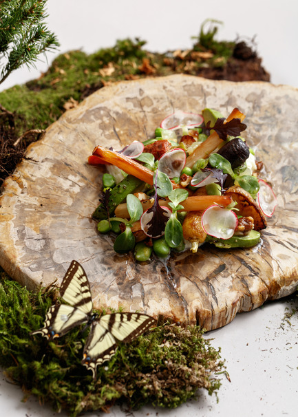 Dossier de presse | 2065-02 - Communiqué de presse | Botanist Restaurant to Open its Doors on April 24 in Vancouver, BC - Fairmont Pacific Rim - Art de vivre - Botanist - Root Vegetables - Crédit photo : Ian Lanterman