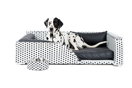 Dossier de presse | 2438-01 - Communiqué de presse | Swiss Start-Up Embellishes the Lives of Dogs and Owners - Volentis GmbH - Produit - IDA Silver Award Winner - LABONI Dog Bed Cosmopolitan - Crédit photo : Volentis GmbH<br>