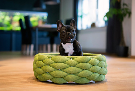 Dossier de presse | 2438-01 - Communiqué de presse | Swiss Start-Up Embellishes the Lives of Dogs and Owners - Volentis GmbH - Produit - European Product Design Award Winner - LABONI Dog Bed RIVA - Crédit photo : Volentis GmbH<br>