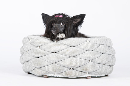 Dossier de presse | 2438-01 - Communiqué de presse | Swiss Start-Up Embellishes the Lives of Dogs and Owners - Volentis GmbH - Produit - European Product Design Award Winner - LABONI Dog Bed RIVA<br> - Crédit photo : Volentis GmbH<br>