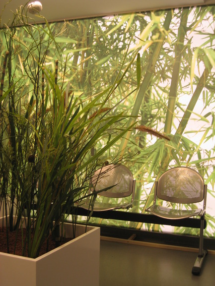 Press kit | 1078-01 - Press release | Focus sensitive Design -Living Matter Living Design- Sensitive material - Caroluslapuce - Residential Interior Design - Photo credit: Caroluslapuce
