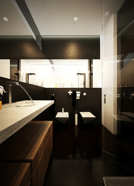 Dossier de presse | 1066-02 - Communiqué de presse | GIS 2013: Architect Marcel Luchian presents the M House project in Bucharest - ABplus Events & the Order of Architects of Romania - Architecture résidentielle - Crédit photo : Marcel Luchian Studio