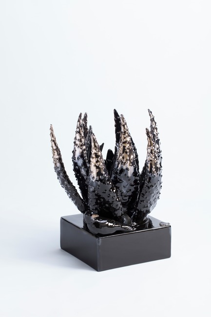 Dossier de presse | 2635-01 - Communiqué de presse | 100% Design South Africa Comes Full Circle in 2017 - 100% Design South Africa - Évènement + Exposition - Ceramic Matters - Crédit photo : 100% DSA2017 Media Image SA MINT