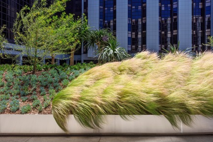 Dossier de presse | 2757-01 - Communiqué de presse | AHBE Landscape Architects Unveils Healing Gardens for Cedars-Sinai Medical Center - AHBE Landscape Architects - Architecture de paysage - Crédit photo : @heliphoto.net