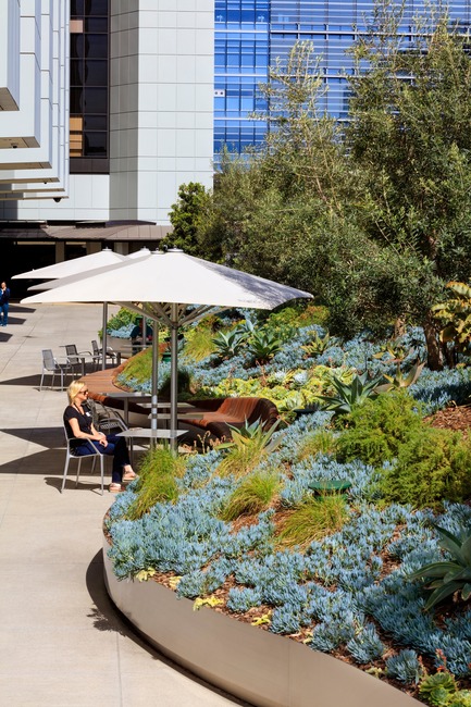 Dossier de presse | 2757-01 - Communiqué de presse | AHBE Landscape Architects Unveils Healing Gardens for Cedars-Sinai Medical Center - AHBE Landscape Architects - Architecture de paysage - Crédit photo :  @heliphoto.net 