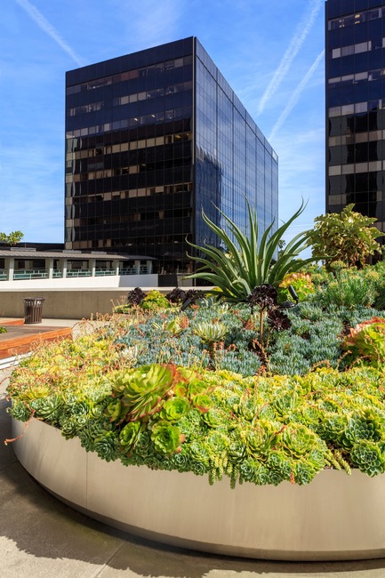 Dossier de presse | 2757-01 - Communiqué de presse | AHBE Landscape Architects Unveils Healing Gardens for Cedars-Sinai Medical Center - AHBE Landscape Architects - Architecture de paysage - Crédit photo : @heliphoto.net
