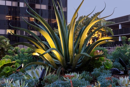 Dossier de presse | 2757-01 - Communiqué de presse | AHBE Landscape Architects Unveils Healing Gardens for Cedars-Sinai Medical Center - AHBE Landscape Architects - Architecture de paysage - Crédit photo : @heliphoto.net