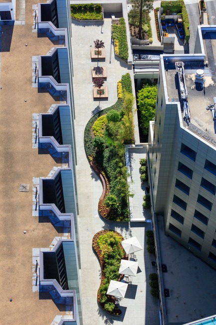 Dossier de presse | 2757-01 - Communiqué de presse | AHBE Landscape Architects Unveils Healing Gardens for Cedars-Sinai Medical Center - AHBE Landscape Architects - Architecture de paysage - Crédit photo : @heliphoto.net