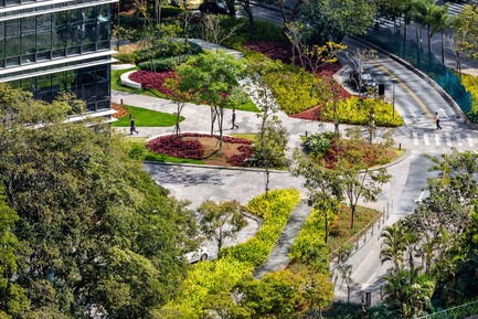 Press kit | 2657-01 - Press release | A Mata Atlântica Forest in São Paulo - Balmori Associates - Landscape Architecture - A display of a dozen different species of the local Ipê (Handroanthus spp.)&nbsp;at the main entrance plaza.&nbsp;&nbsp;   - Photo credit: Courtesy of Ana Mello