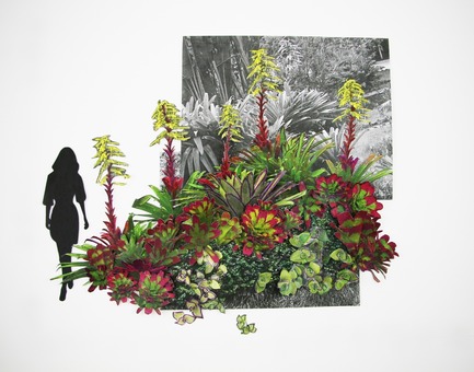 Press kit | 2657-01 - Press release | A Mata Atlântica Forest in São Paulo - Balmori Associates - Landscape Architecture - 3D collage planting study for the&nbsp;topographic gardens - Photo credit:  Courtesy of Balmori Associates 