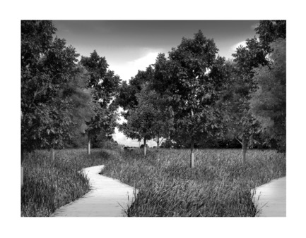 Press kit | 3036-01 - Press release | Our Lady of The Fields - Stanislas Chaillou - Institutional Architecture - The Eden Garden (Cathedral's Roof Garden) - Photo credit: Stanislas Chaillou