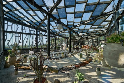 Dossier de presse | 3092-01 - Communiqué de presse | Cactus Park in Taiwan Draws Architectural Inspiration from Prickly Succulents - CCL Architects & Planners - Architecture de paysage - Grand intérieur de serre de cactus - Crédit photo : CCL Architects &amp; Planners