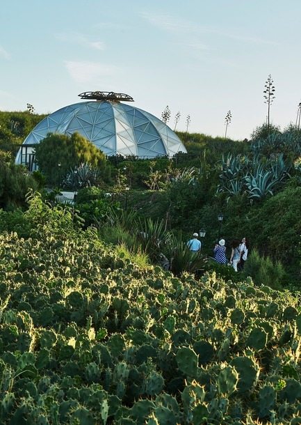 Dossier de presse | 3092-01 - Communiqué de presse | Cactus Park in Taiwan Draws Architectural Inspiration from Prickly Succulents - CCL Architects & Planners - Architecture de paysage - Echinocactus grusonii cactus serre et environnement - Crédit photo : CCL Architects &amp; Planners